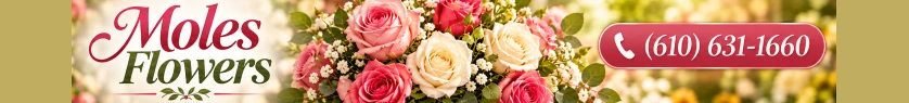 Moles Flowers banner advertisement